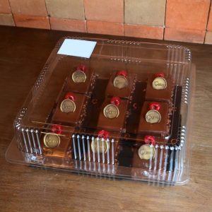 Sacher individual /s chapa